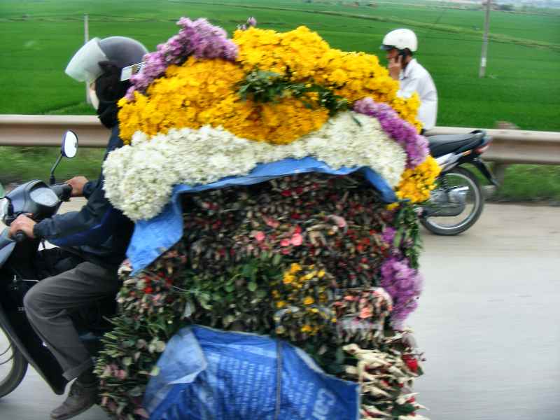 Vietnam20100257.JPG