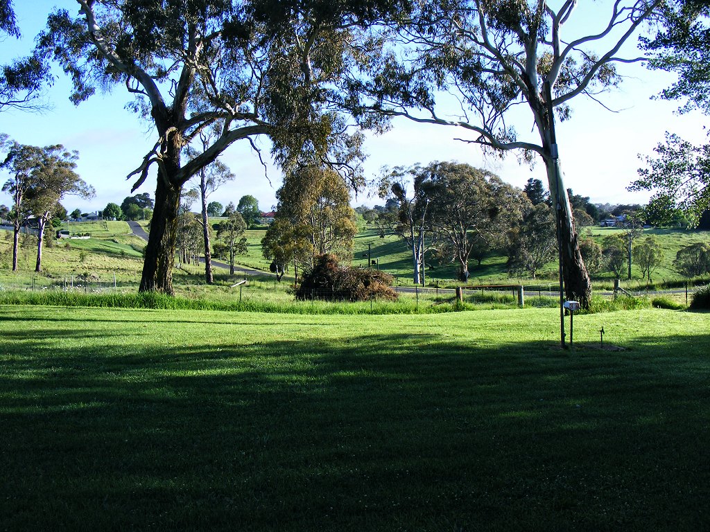 guyra0043.JPG