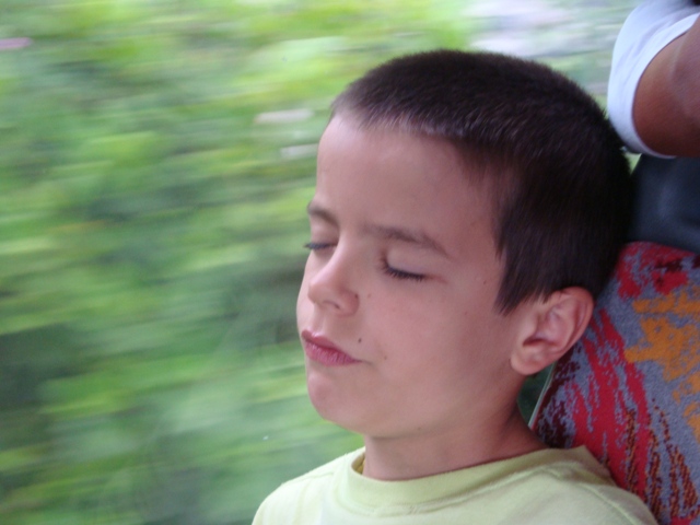 [DSC00949.JPG]