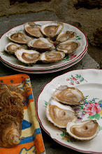 Eat Seafood in Brittany