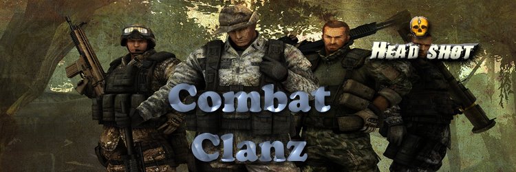 Combat Arms Banner