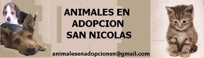 ANIMALES EN ADOPCION