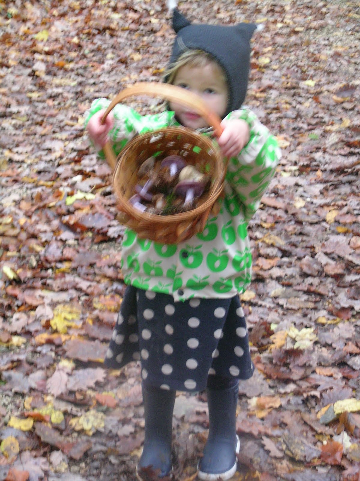 [DSCN8833.JPG]