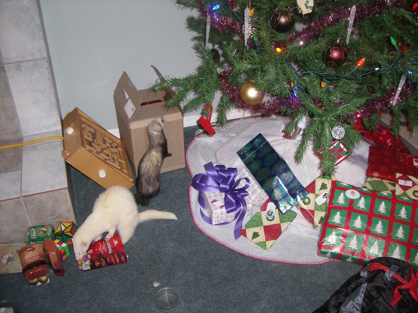 Ferrets in the North Having a ferretsafe Christmas