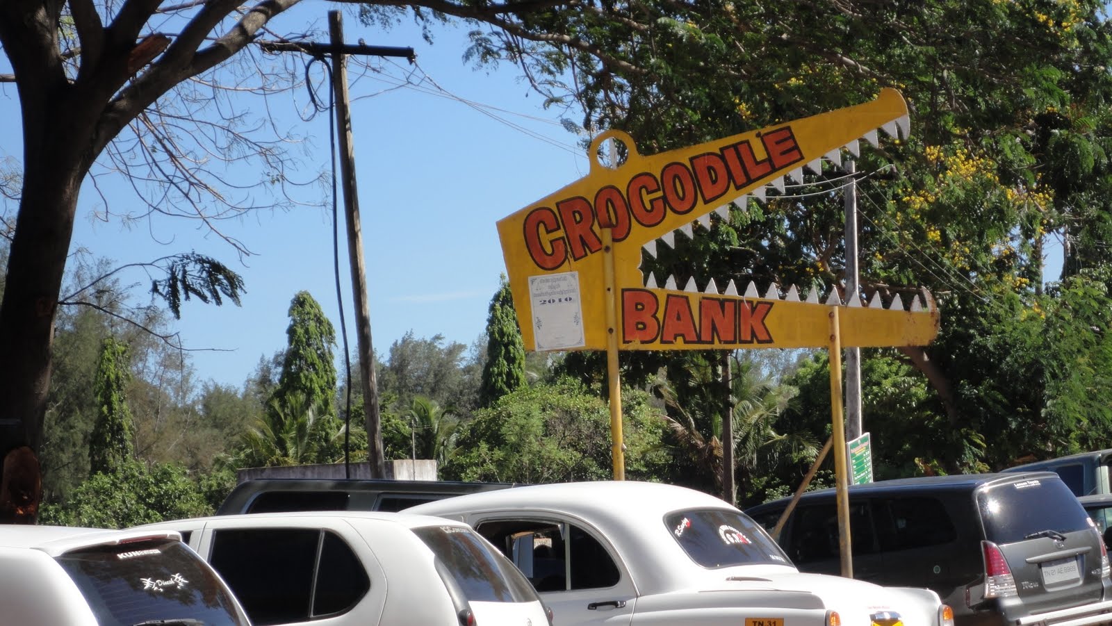 madras crocodile bank