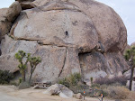 Joshua Tree Nat. Park, CA