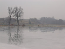 Icy Pond