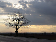 Slovakian Stillness