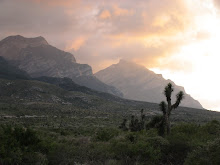 In Fading Light (Mont. NP)