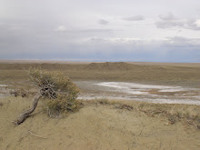 Rock River salt pan