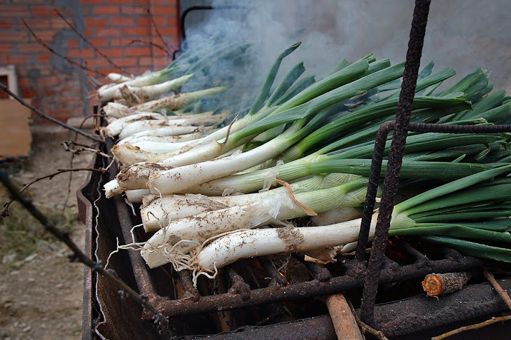 CALÇOTADES A CAL MARTÍ, Durant l’estada si vols et podràs fer la teva calçotada.