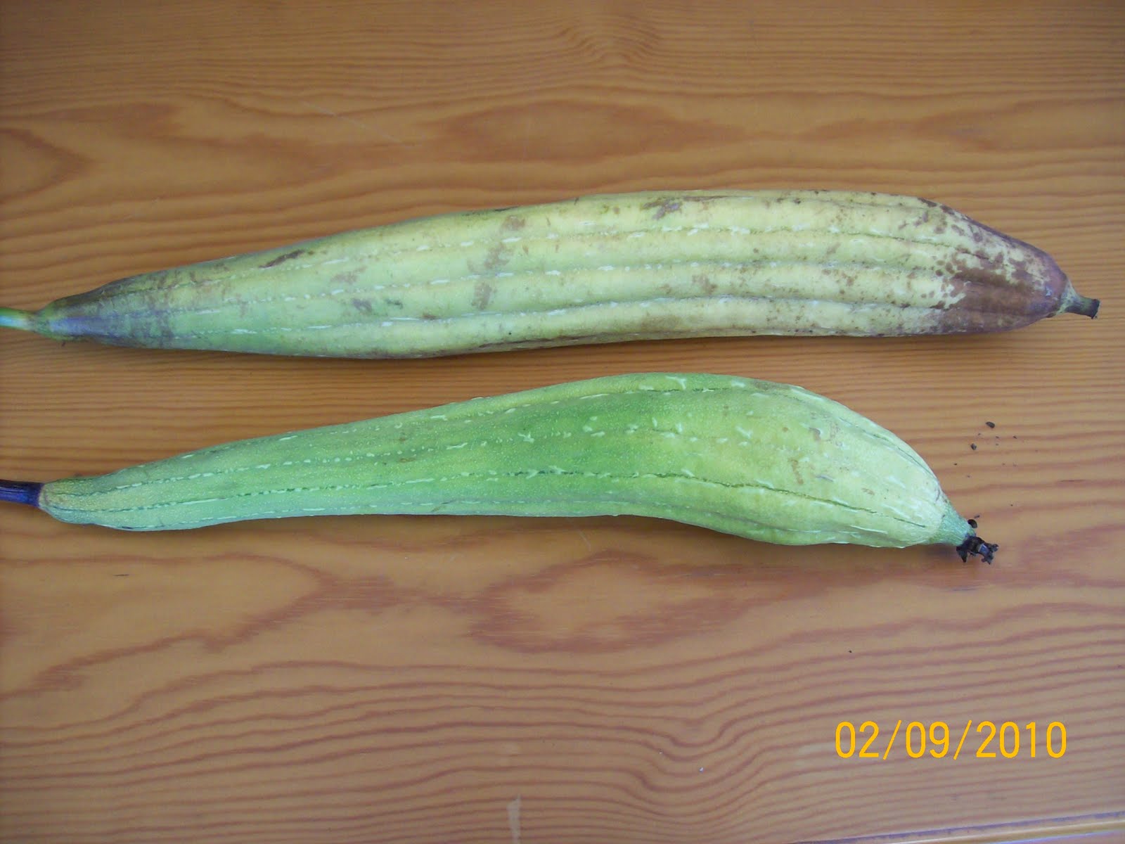 sabunlarim ilk hasat 2 adet lif kabagi