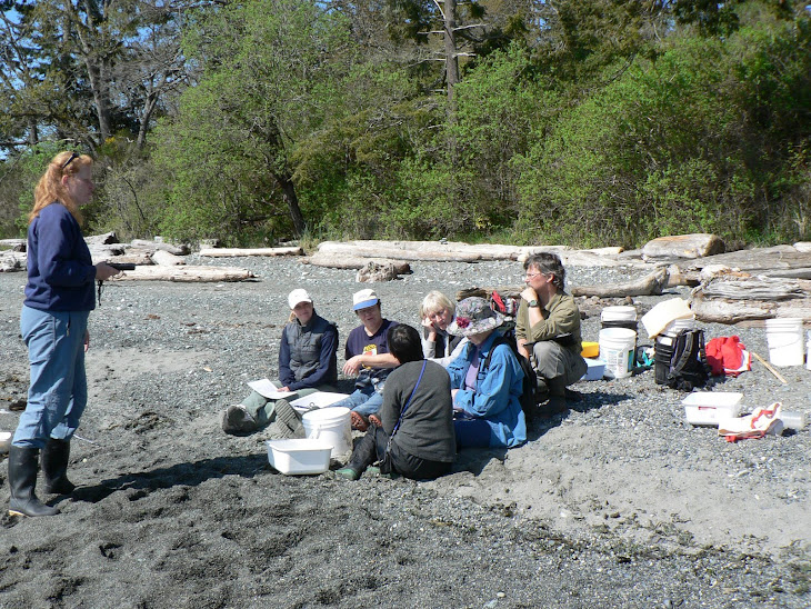 Attentive Audience