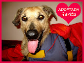 Sarita ADOPTADA!