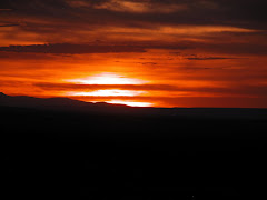 Desert Sunset