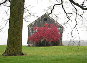 Synch Ro Ni Zing Why Are Barns Painted Red Or Sometimes White
