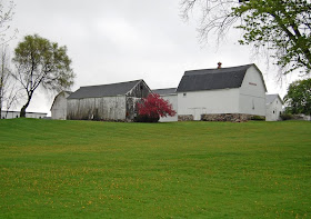 Synch Ro Ni Zing Why Are Barns Painted Red Or Sometimes White