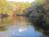 Walden Pond