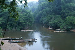 KUALA KOH