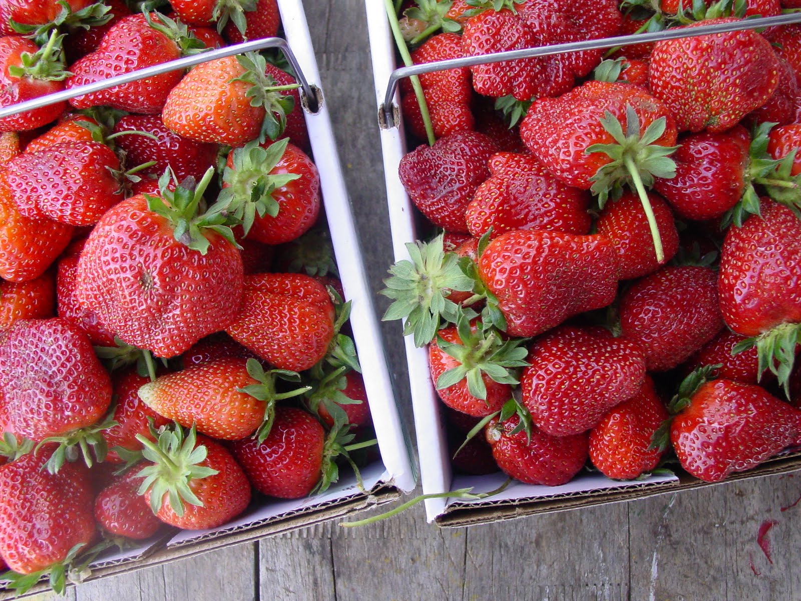 Lick The Bowl Good May 2010