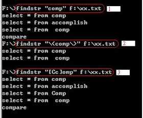 Adalf的小技巧 Findstr進階用法