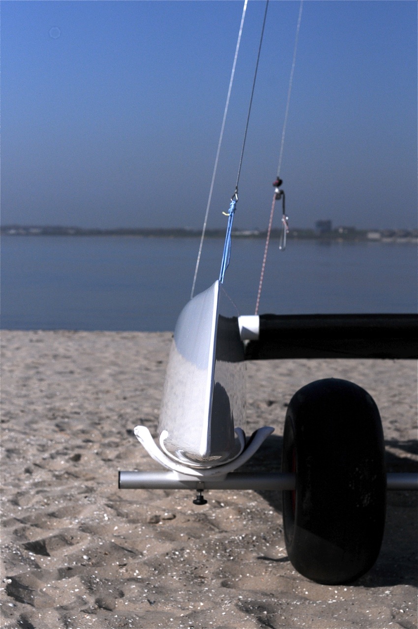 Curved daggerboards in AClass Multihull Anarchy Sailing Anarchy Forums