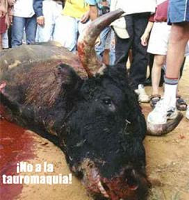 Como custodios del planeta es