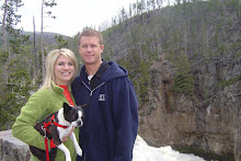 The Taylors