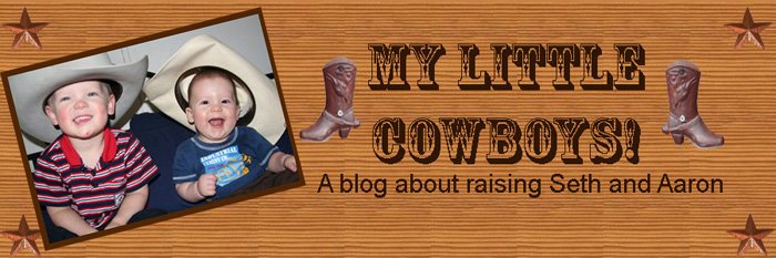 My Little Cowboys