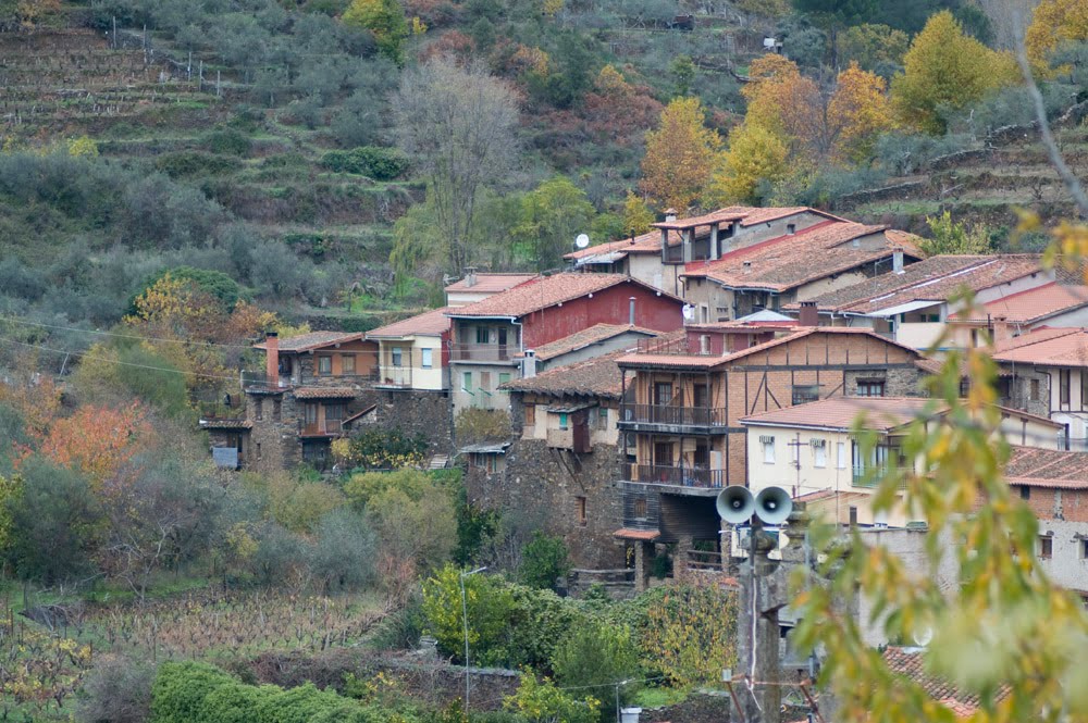 [DSD_1632.jpg]