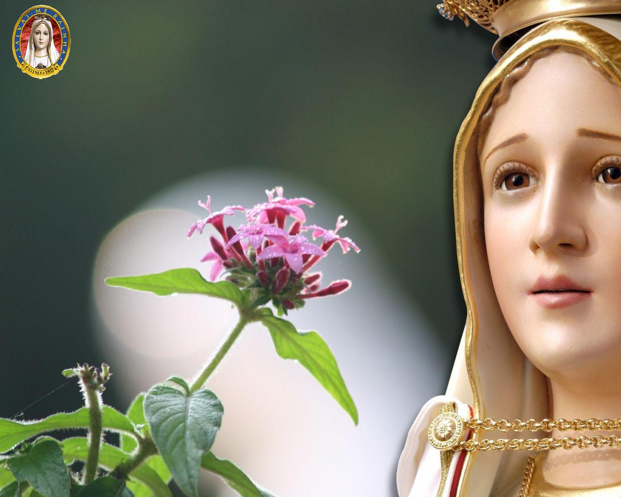 Angeles De Nuestra Senora De Guadalupe Las Flores De Maria