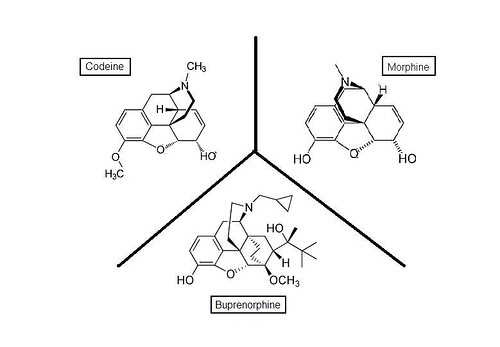 dxm vs oxycodone