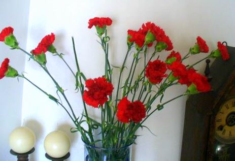 [P1080657-1.JPG]