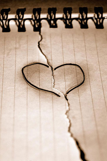 de amor y de sombra de amor. de amor y de sombra