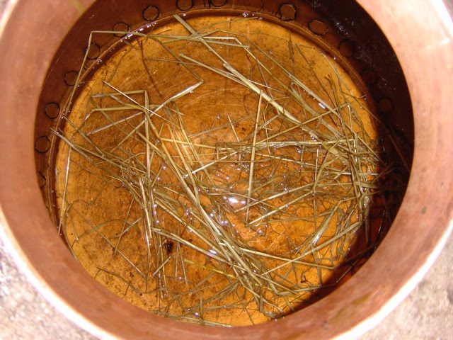 [DSC05952.JPG]