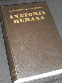 Lockhart Hamilton Anatomia Humana Pdf