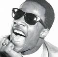 Stevie Wonder