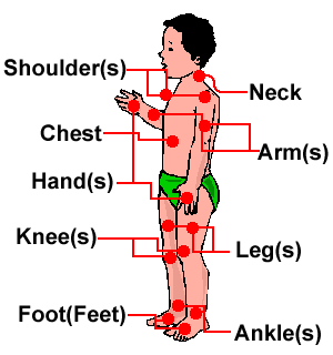 the Facts About human Unique Body