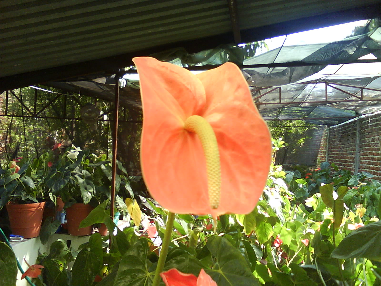[DSC00117.JPG]
