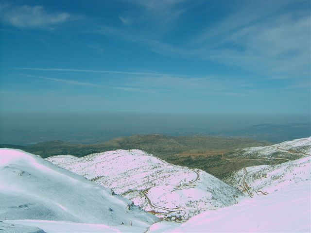 [SA500022.JPG]