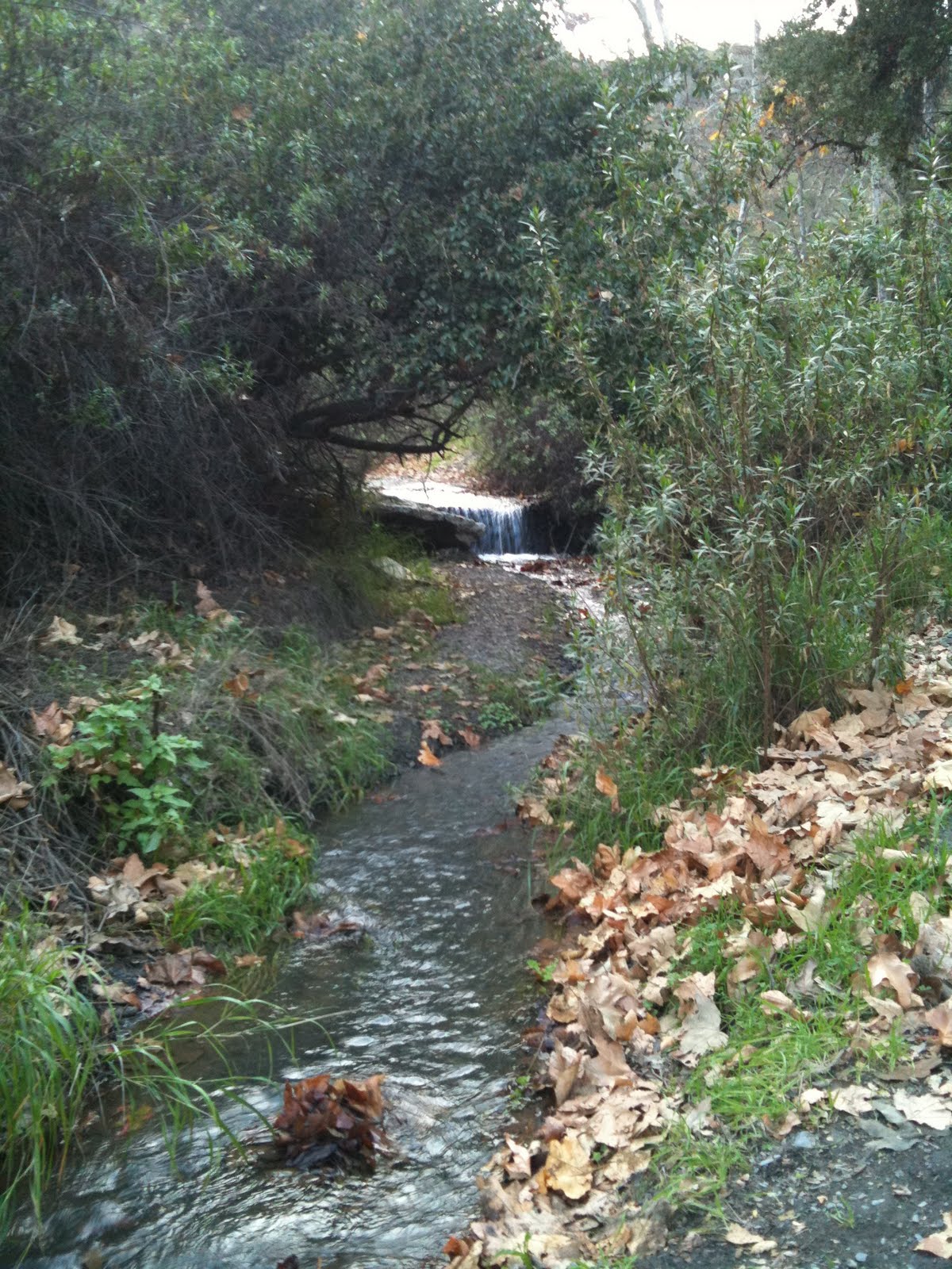 365 los angeles 148 Sullivan Canyon Hike