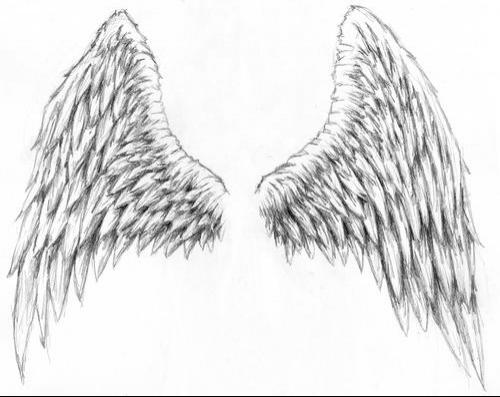 Heart Tattoos Pictures angel angel wing tattoos. Heart Tattoos Pictures angel