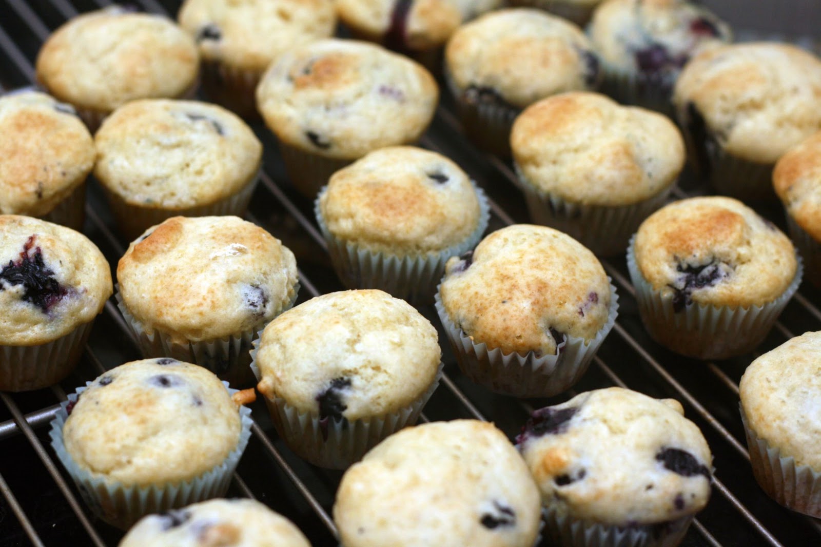 So Tasty So Yummy Mini Blueberry Muffins