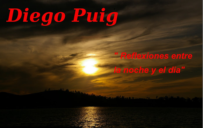 EL BLOG DE DIEGO PUIG