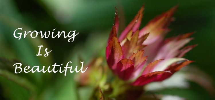 Growing Is Beautiful