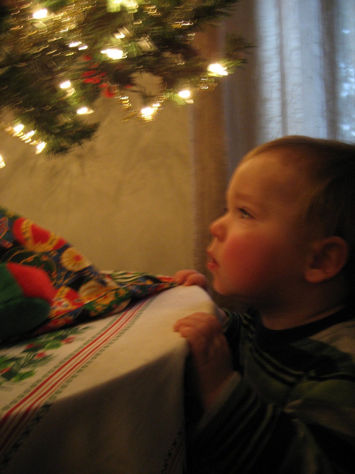 [Picture+073.jpg]