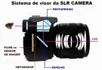 [CF03.jpg]