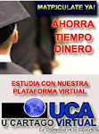 PLATAFORMA VIRTUAL