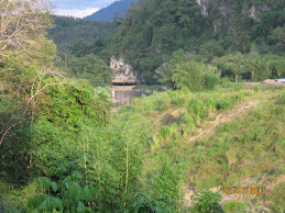 Gambar Sisi Jalan Pegunungan