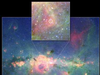 [Estrella+Peony+Nebula.jpg]